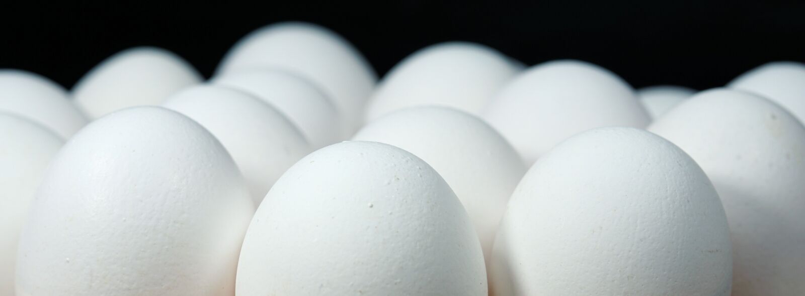 Sony a6000 + E 60mm F2.8 sample photo. Egg, easter, easter egg photography
