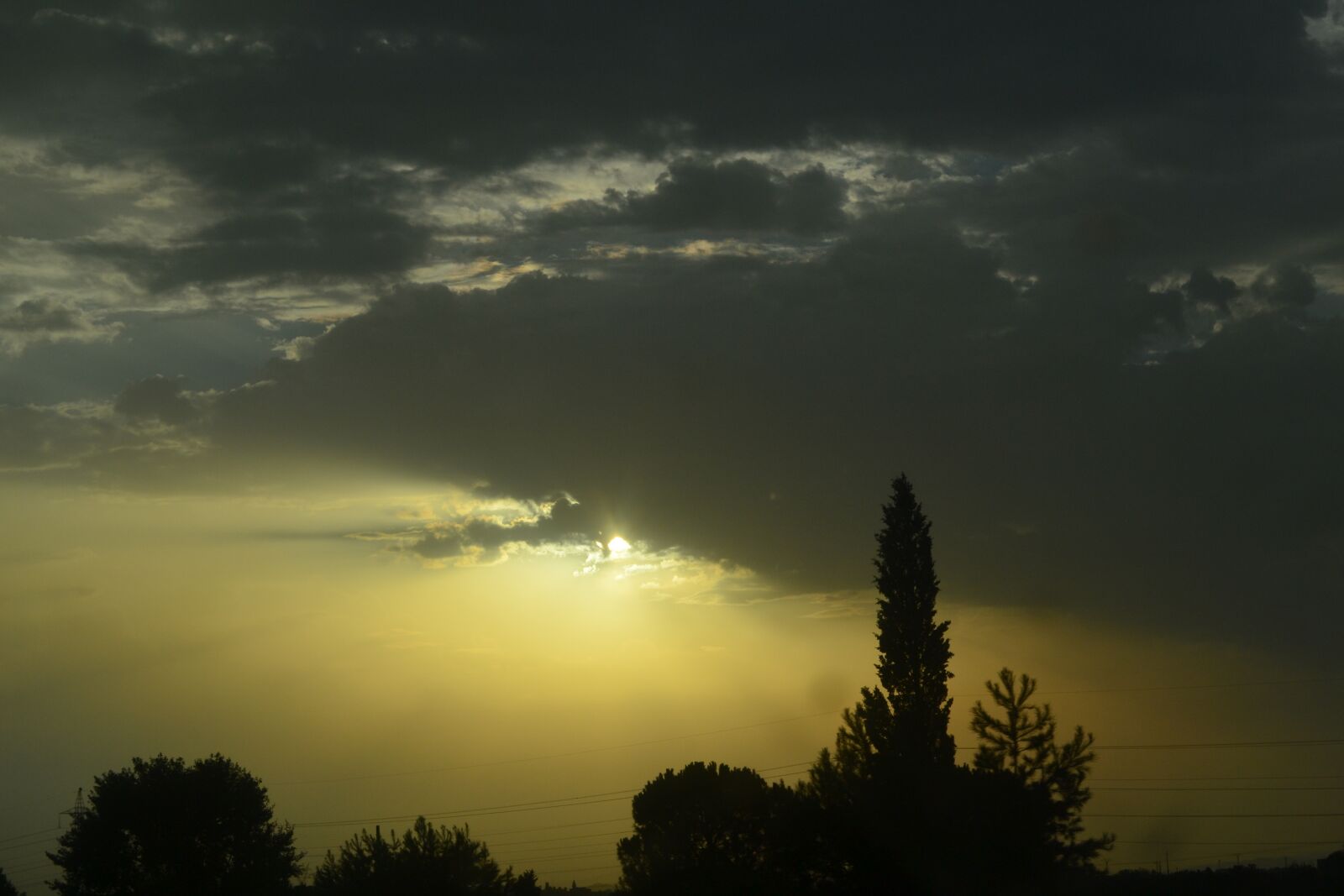 Nikon D3100 sample photo. Trees, landscapes, nature photography