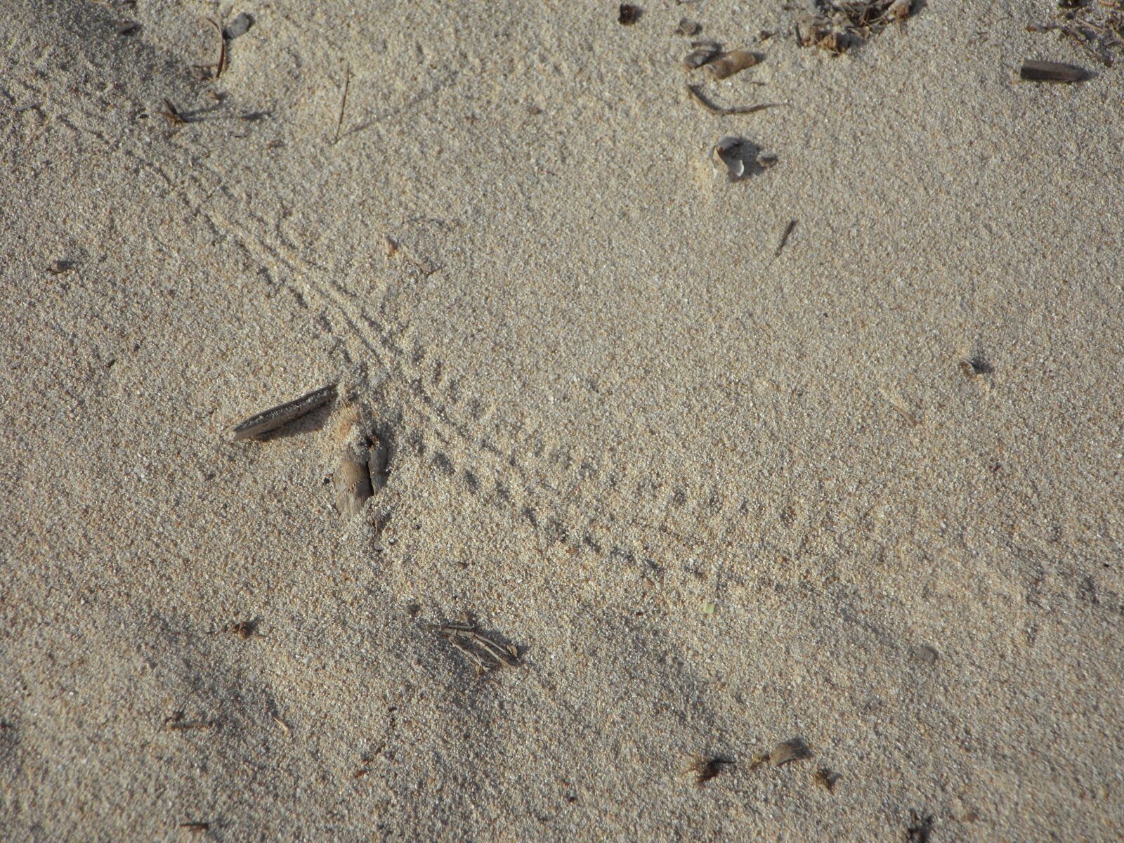 Samsung VLUU WB210, SAMSUNG WB210 sample photo. Trace, sand, beach photography