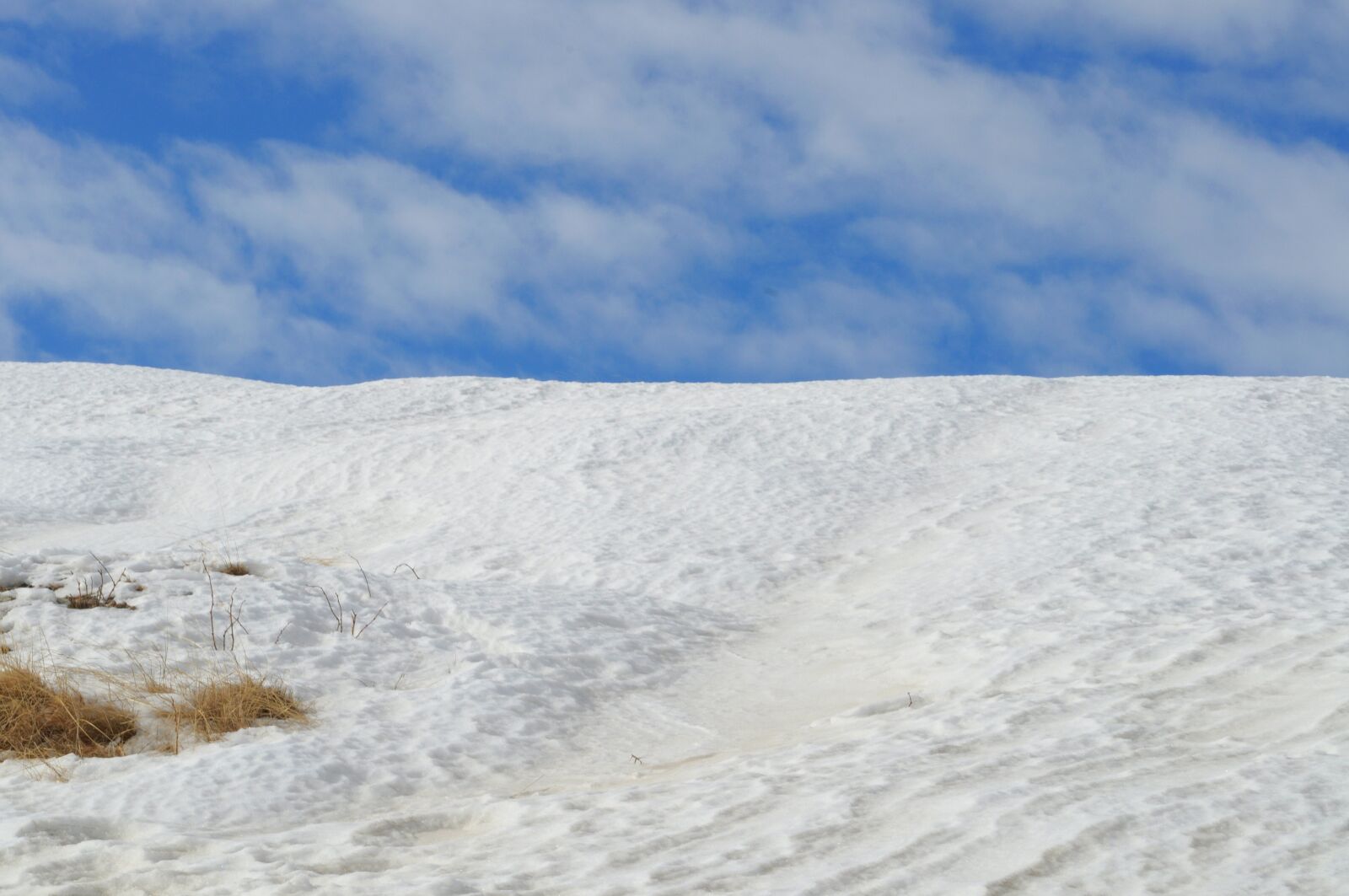 Nikon D5000 sample photo. Snow, ranca, romania photography