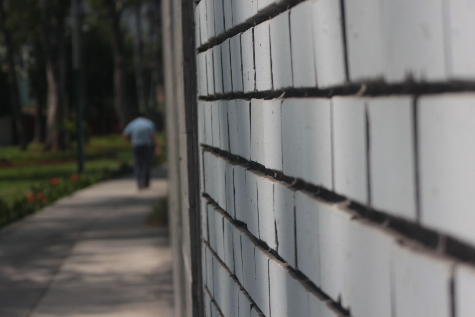 Canon EOS 500D (EOS Rebel T1i / EOS Kiss X3) sample photo. Path, street, wall photography