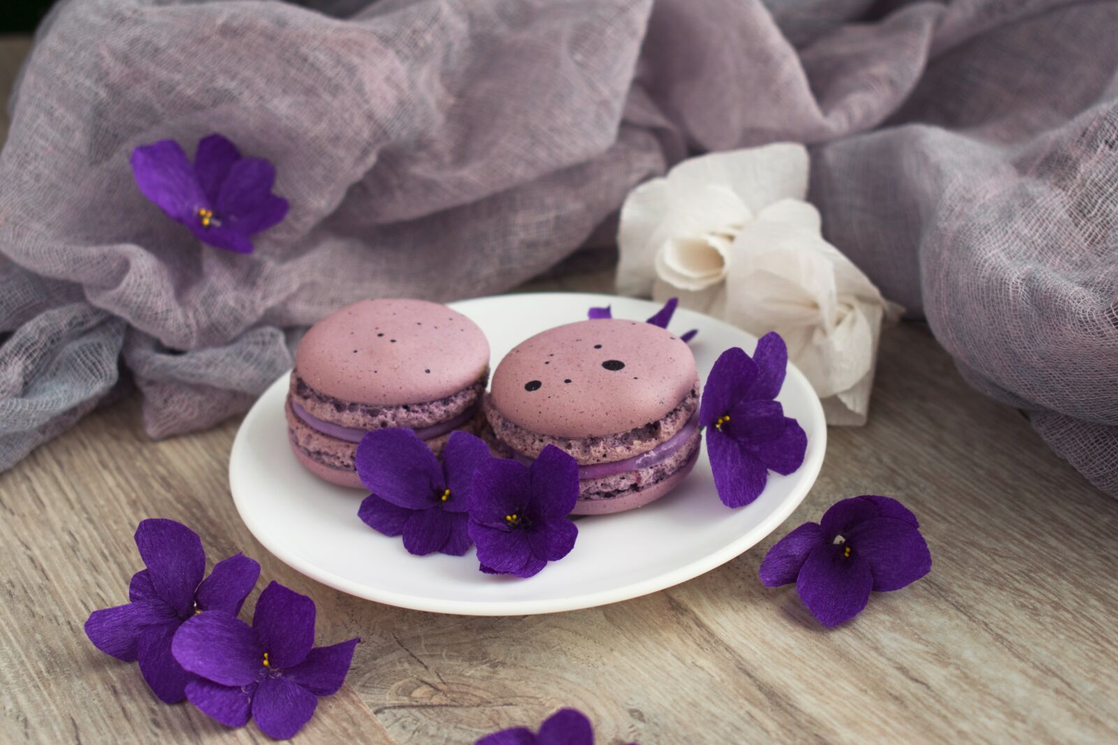 Nikon D3400 sample photo. Macaroons, macro, cookies photography