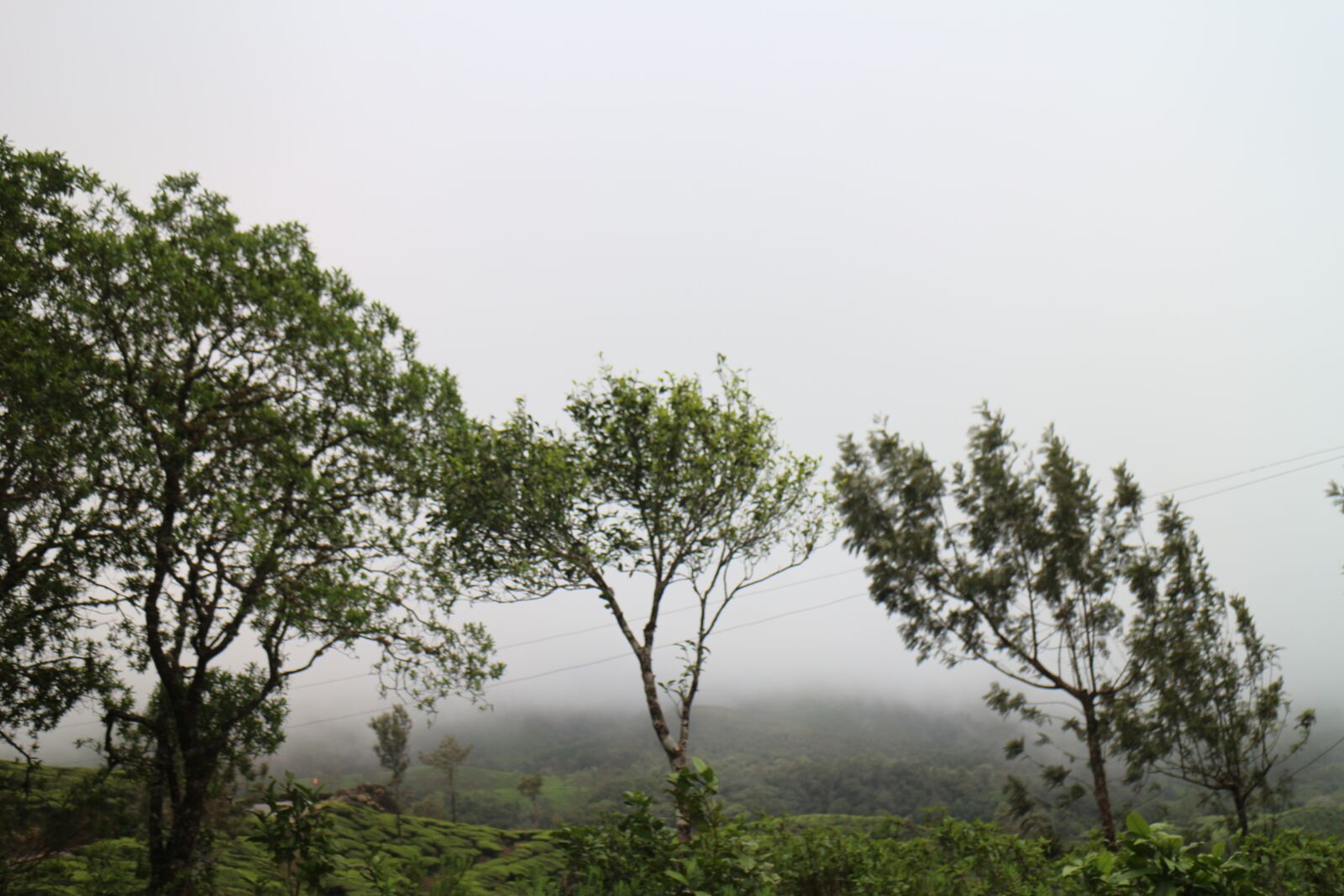 Canon EOS M + Canon EF-M 18-55mm F3.5-5.6 IS STM sample photo. Nature, india, kerala photography