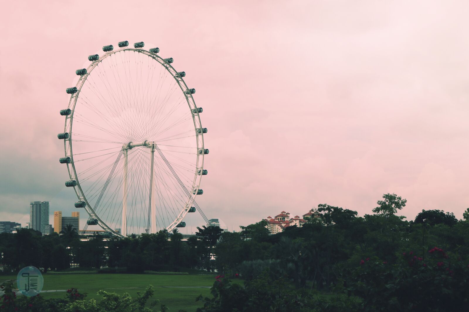 Canon EOS 750D (EOS Rebel T6i / EOS Kiss X8i) sample photo. Singapore, pink, nature photography
