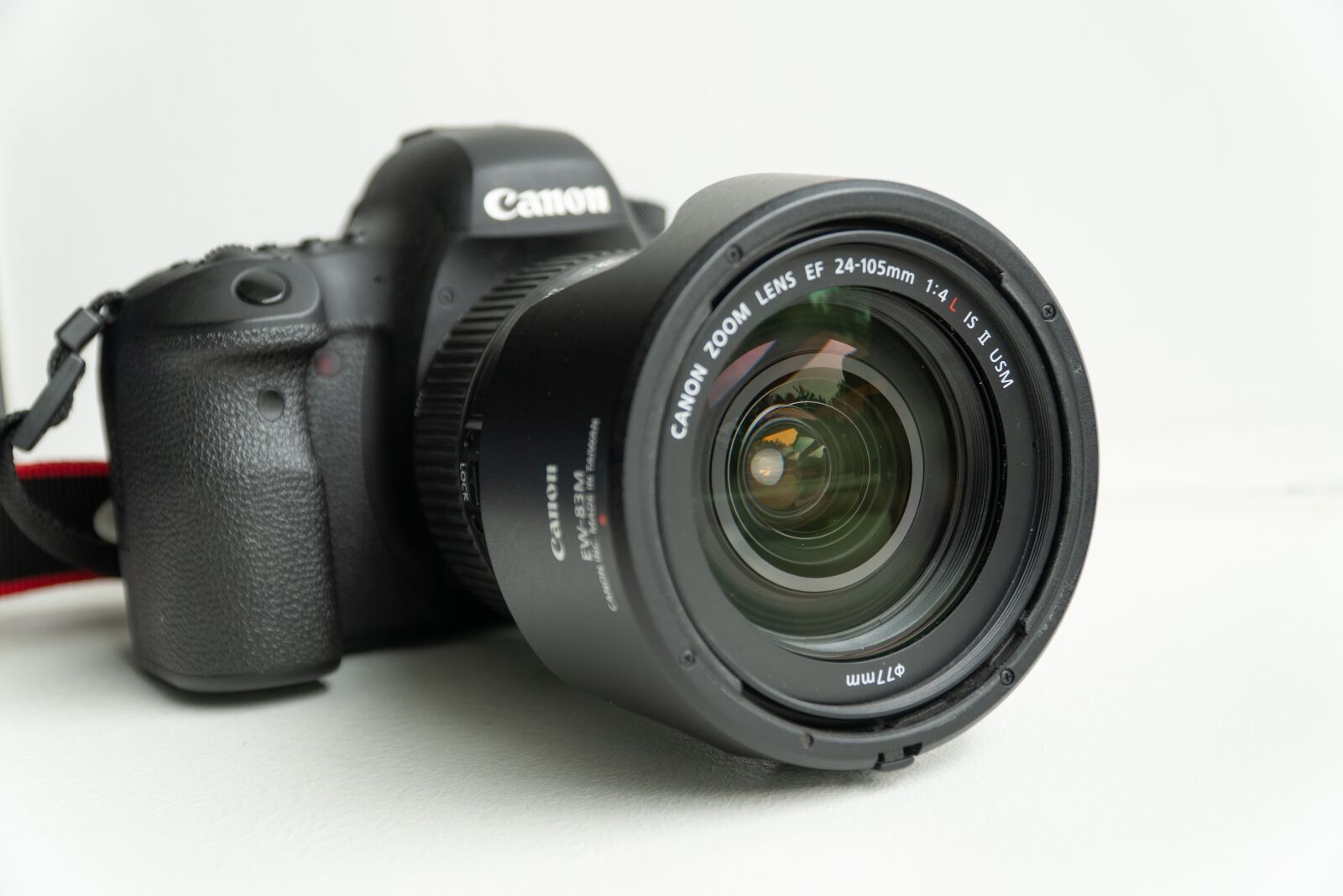 Sony a6500 + Sony E PZ 18-105mm F4 G OSS sample photo. Canon, camera, 6d mark photography