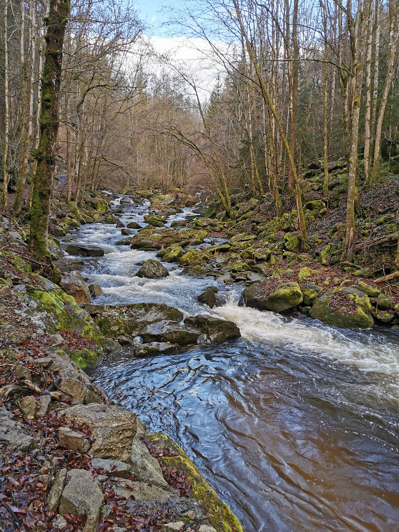 HUAWEI P30 sample photo. River, forest, nature photography