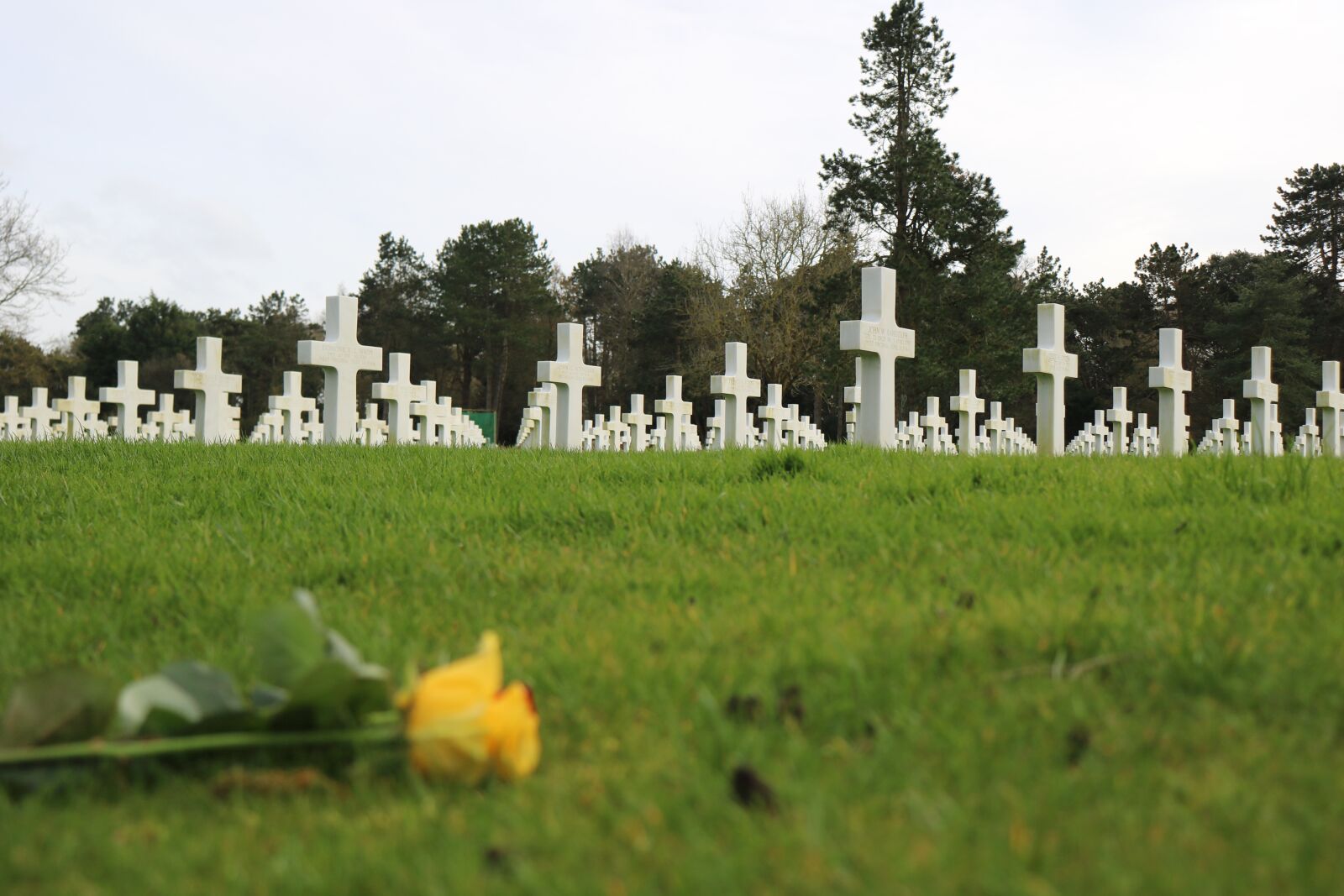 Canon EOS 750D (EOS Rebel T6i / EOS Kiss X8i) sample photo. Cemetery, cross, war photography