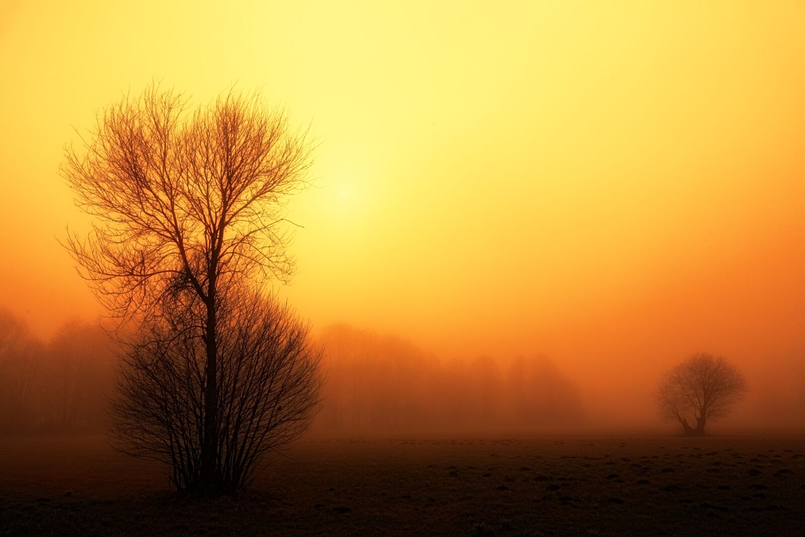 Canon EOS 5D sample photo. Sunset, dawn, nature photography