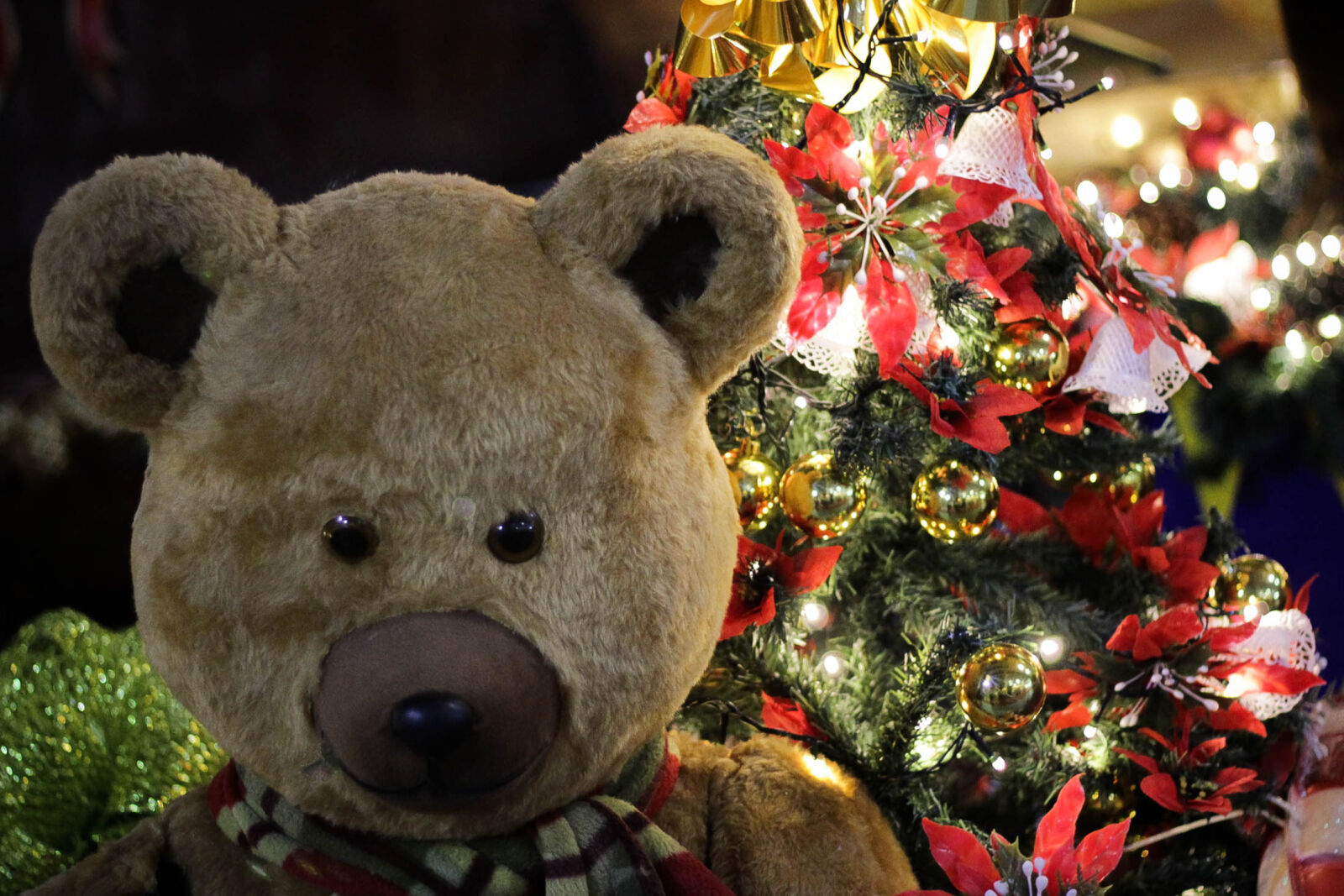 Canon EOS 1200D (EOS Rebel T5 / EOS Kiss X70 / EOS Hi) sample photo. Christmas photography