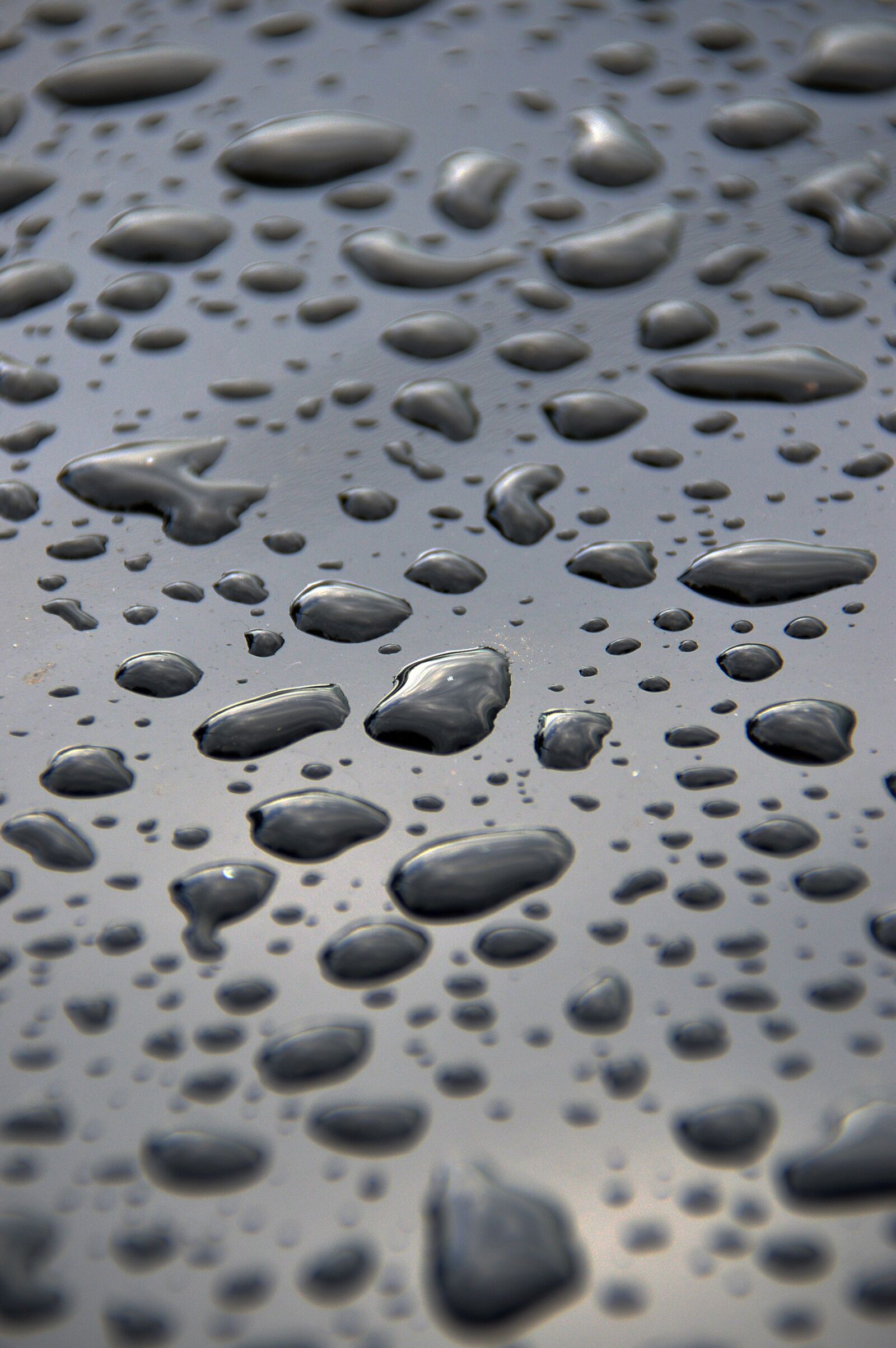 Nikon D3200 sample photo. Just add water, water photography