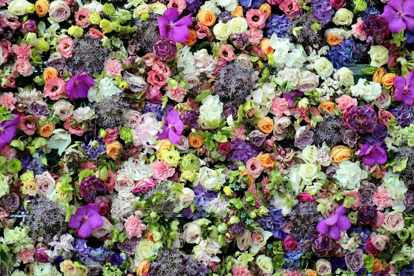 Canon EOS 450D (EOS Rebel XSi / EOS Kiss X2) sample photo. Flowers, carpet, coloring photography