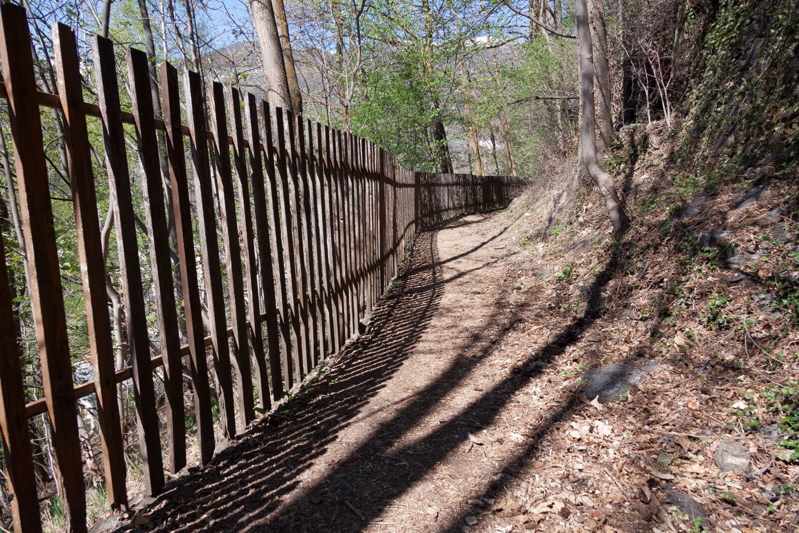 Canon EF-S 17-85mm F4-5.6 IS USM sample photo. Away, fence, wood fence photography