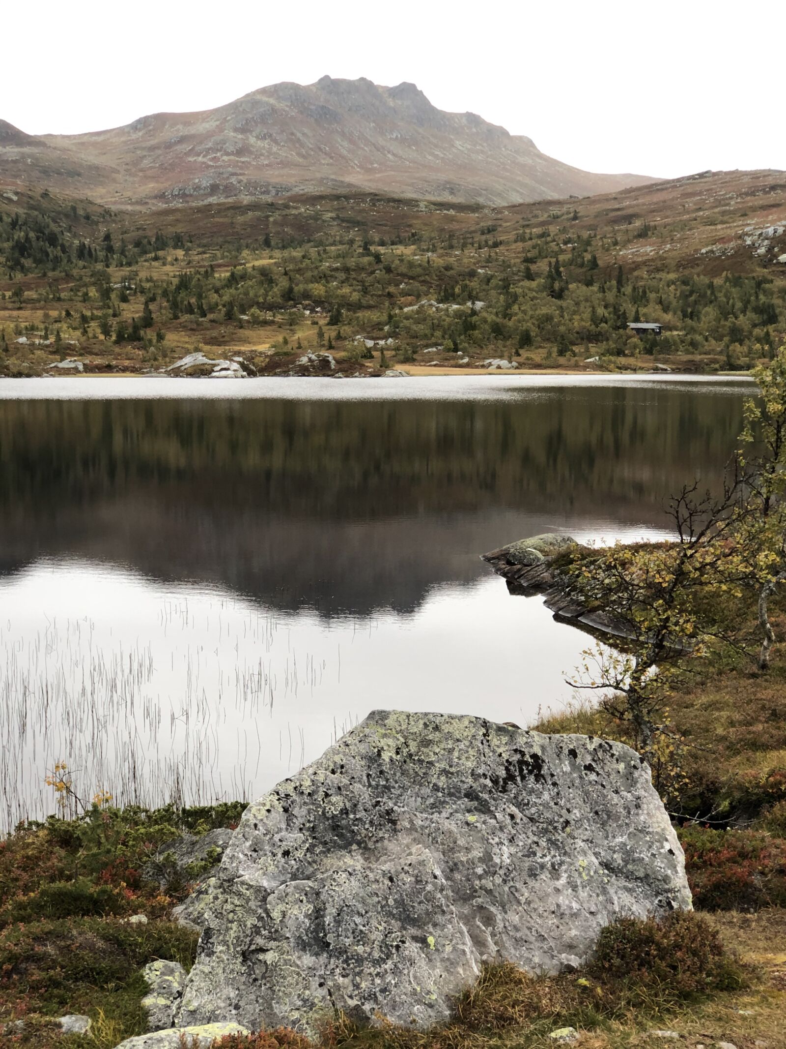 iPhone X back dual camera 6mm f/2.4 sample photo. Lake, bank, mountains photography