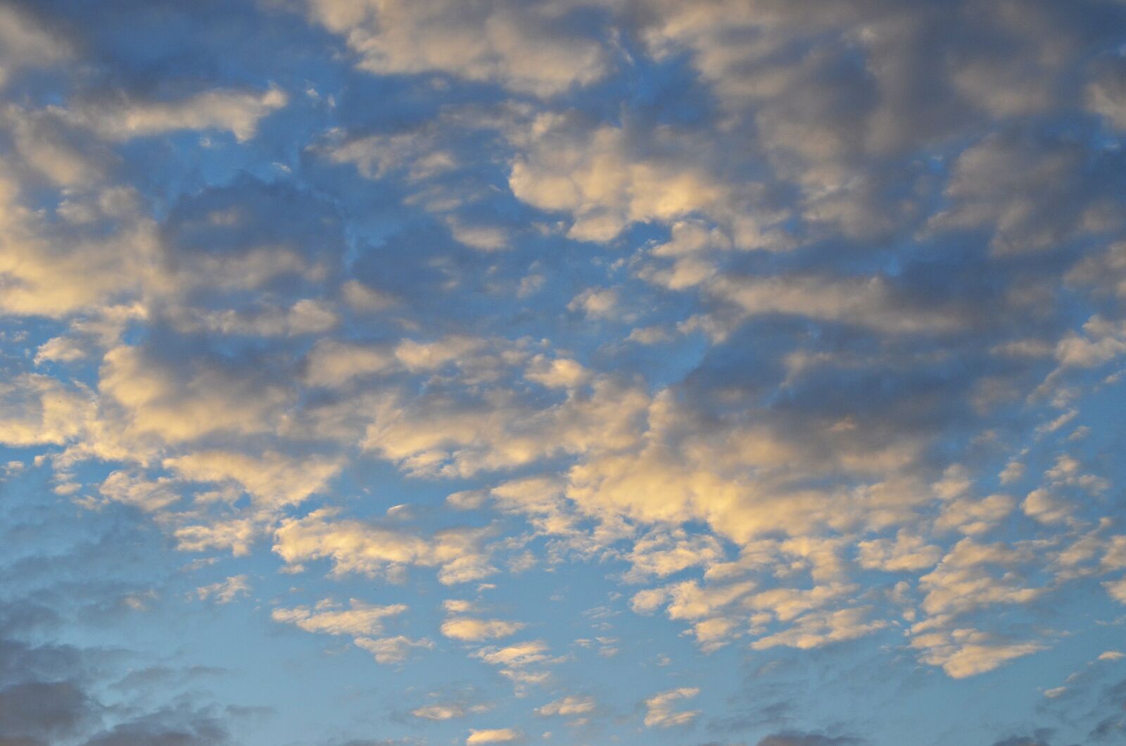 Nikon D5100 sample photo. Sky, clouds, sunset photography