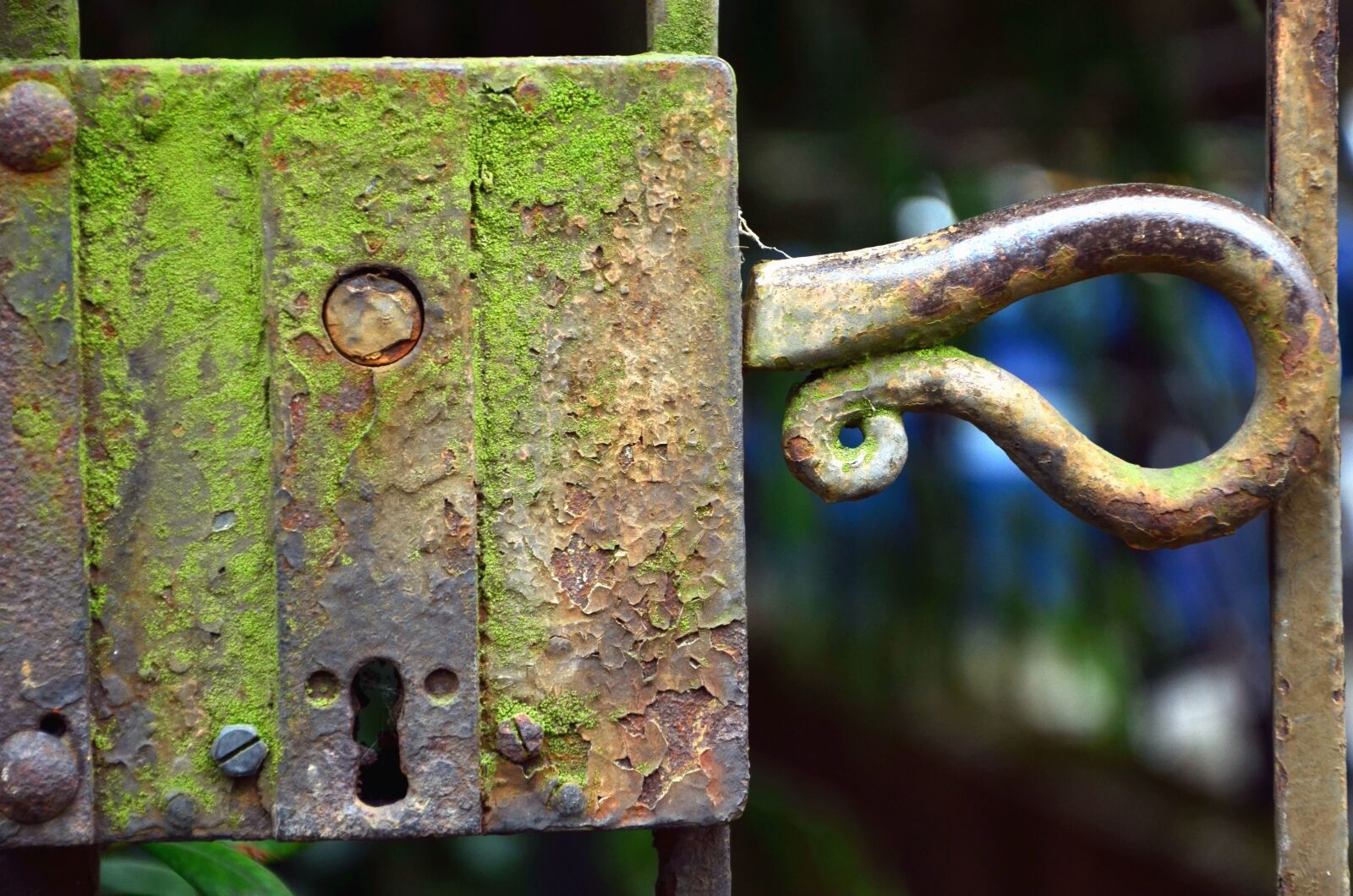 Nikon D5100 sample photo. Locks, antique, metal, door photography
