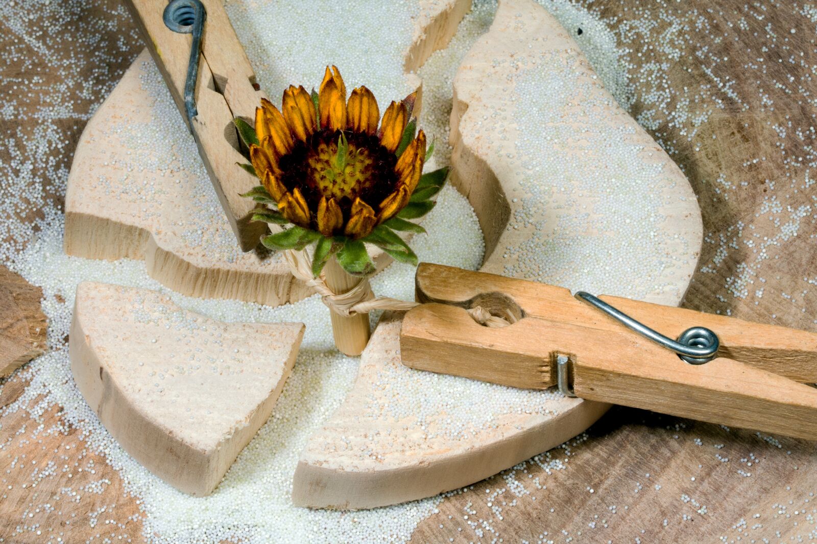 Canon EOS 70D + Canon EF-S 60mm F2.8 Macro USM sample photo. Wood, clothespins, flower photography
