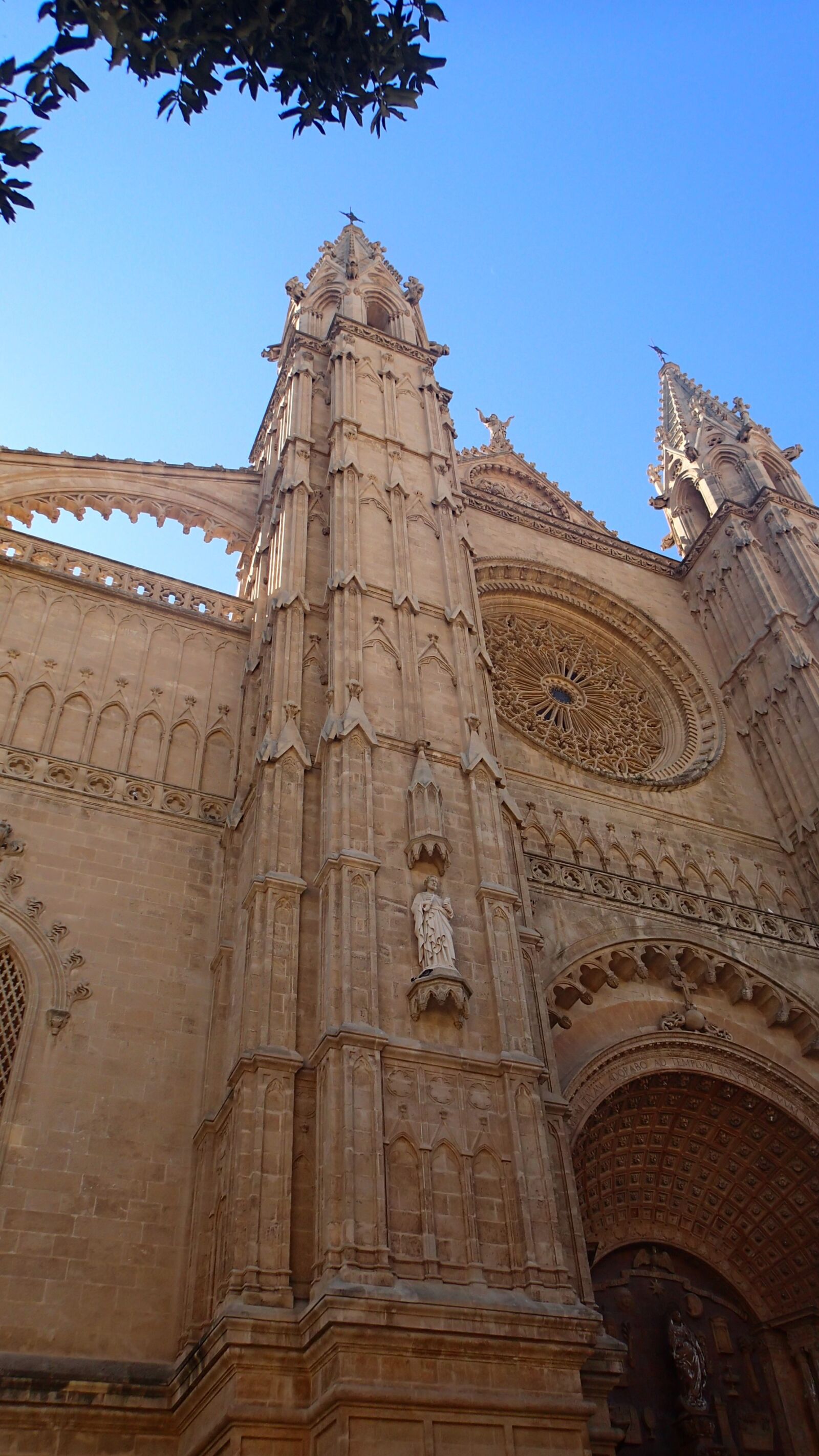 Olympus TG-2 sample photo. Palma cathedral, cathedral, cathedral photography