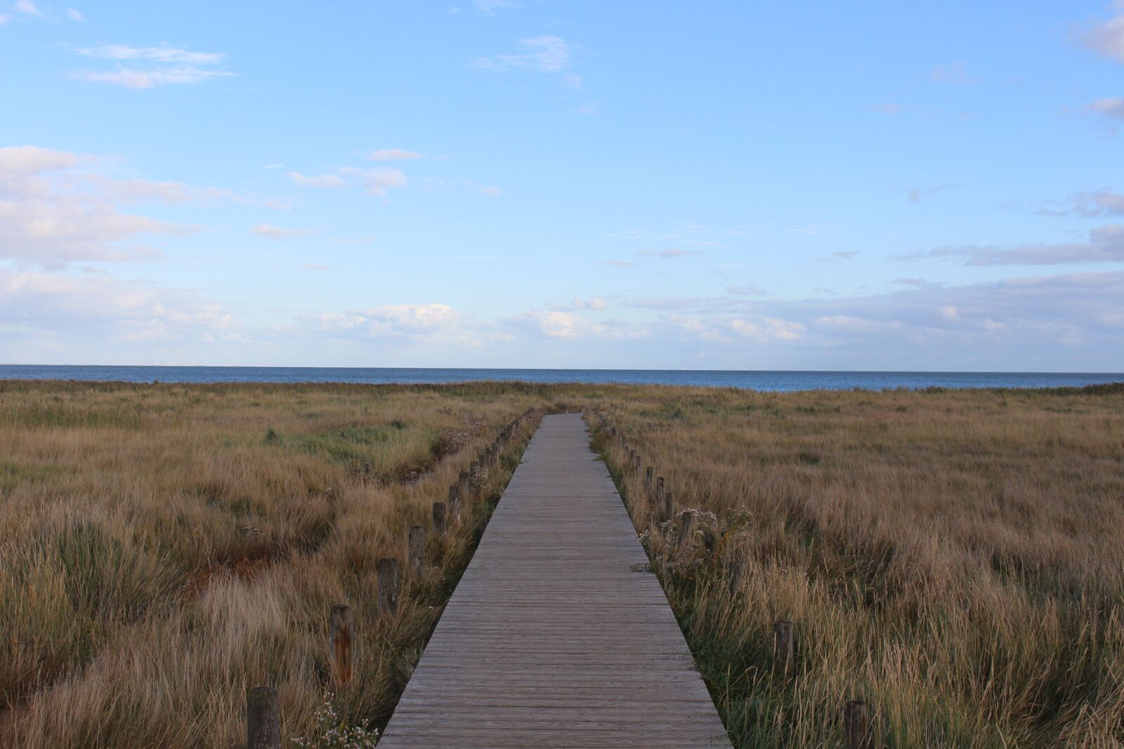 Canon EOS 700D (EOS Rebel T5i / EOS Kiss X7i) sample photo. Sylt, kampen, dune landscape photography