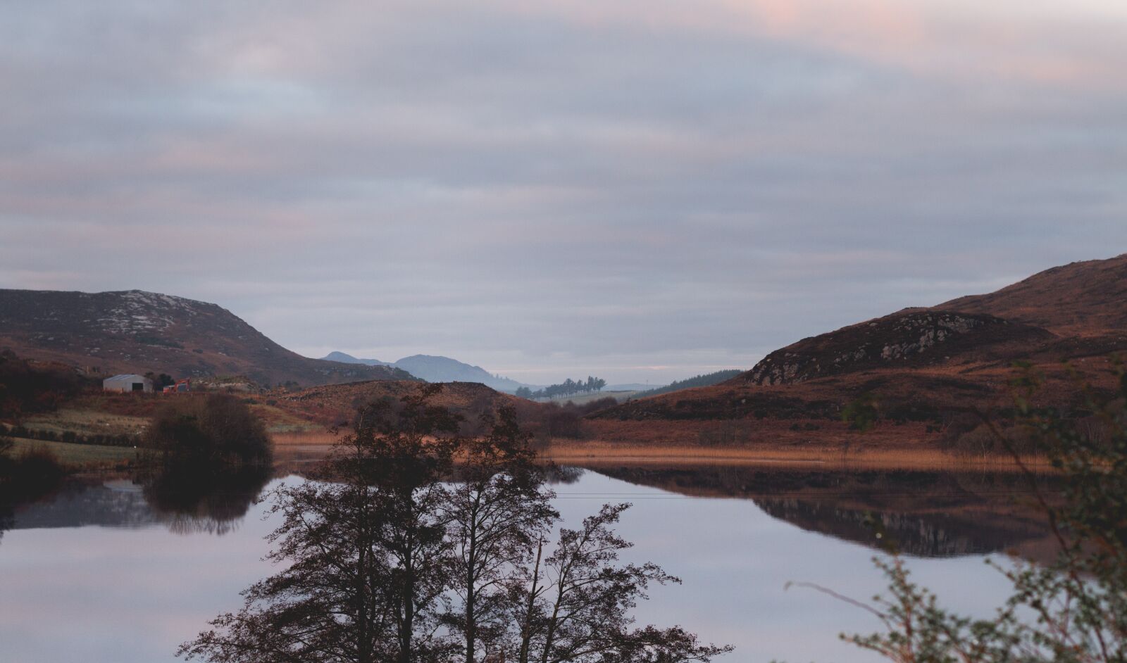 Canon EOS 70D + Canon EF 50mm F1.4 USM sample photo. Calm, forest, ireland photography