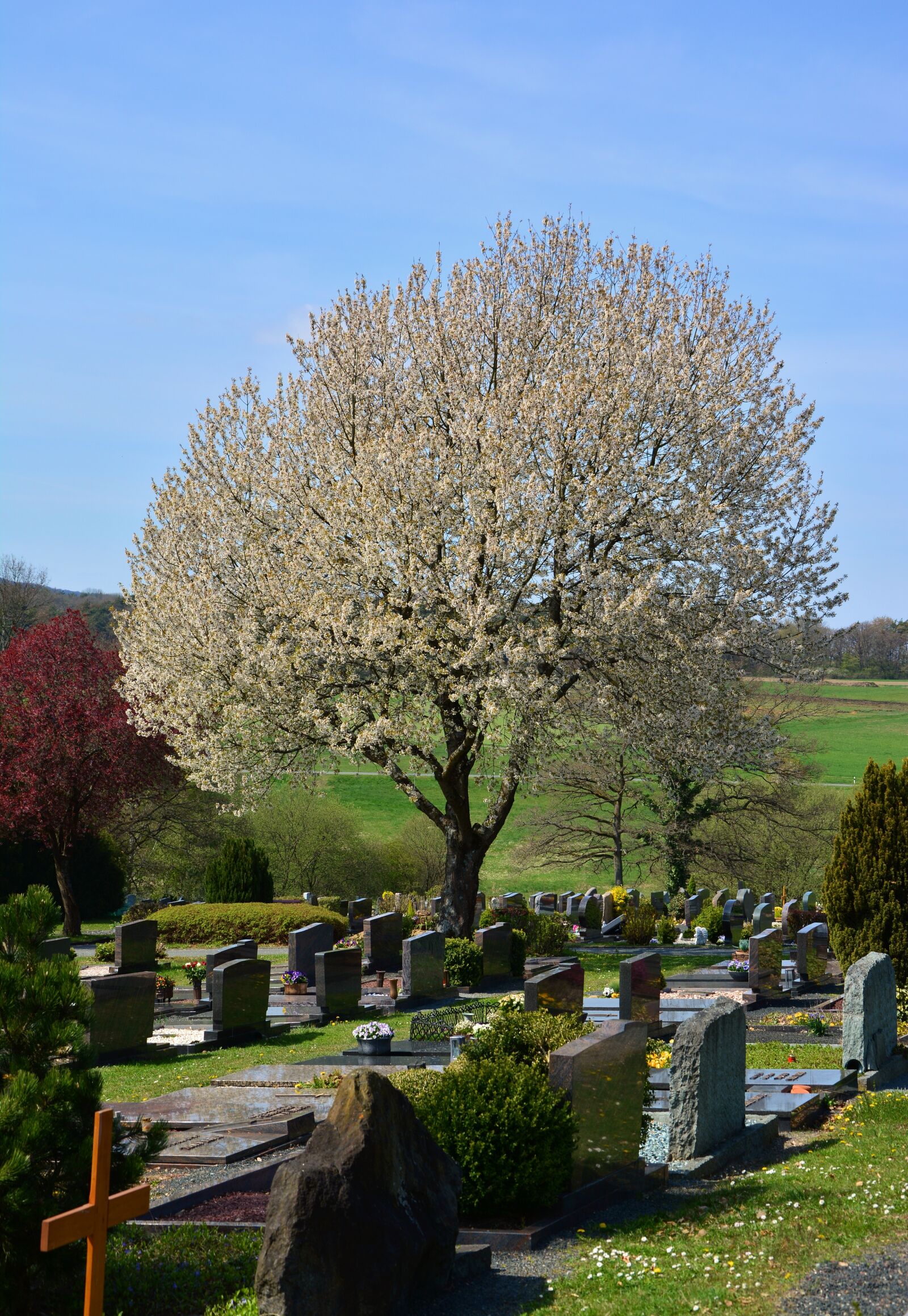 Nikon D5200 sample photo. Cemetery, graves, cemetery culture photography