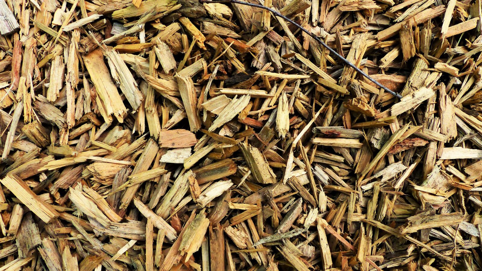 Panasonic Lumix DMC-FZ200 sample photo. Dry, lot, wallpaper photography