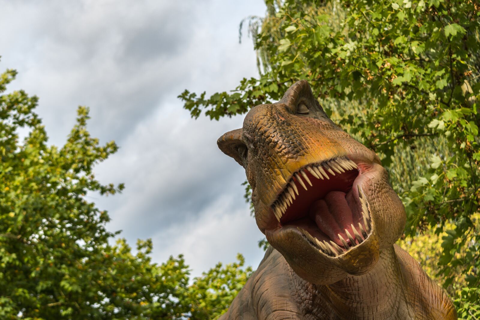 Nikon D7500 sample photo. T rex, tyrannosaurus rex photography