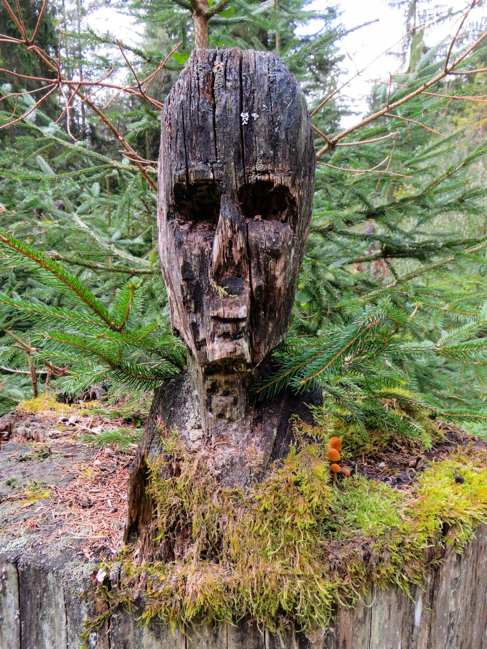 Canon PowerShot SX710 HS sample photo. Craft, art, figure photography
