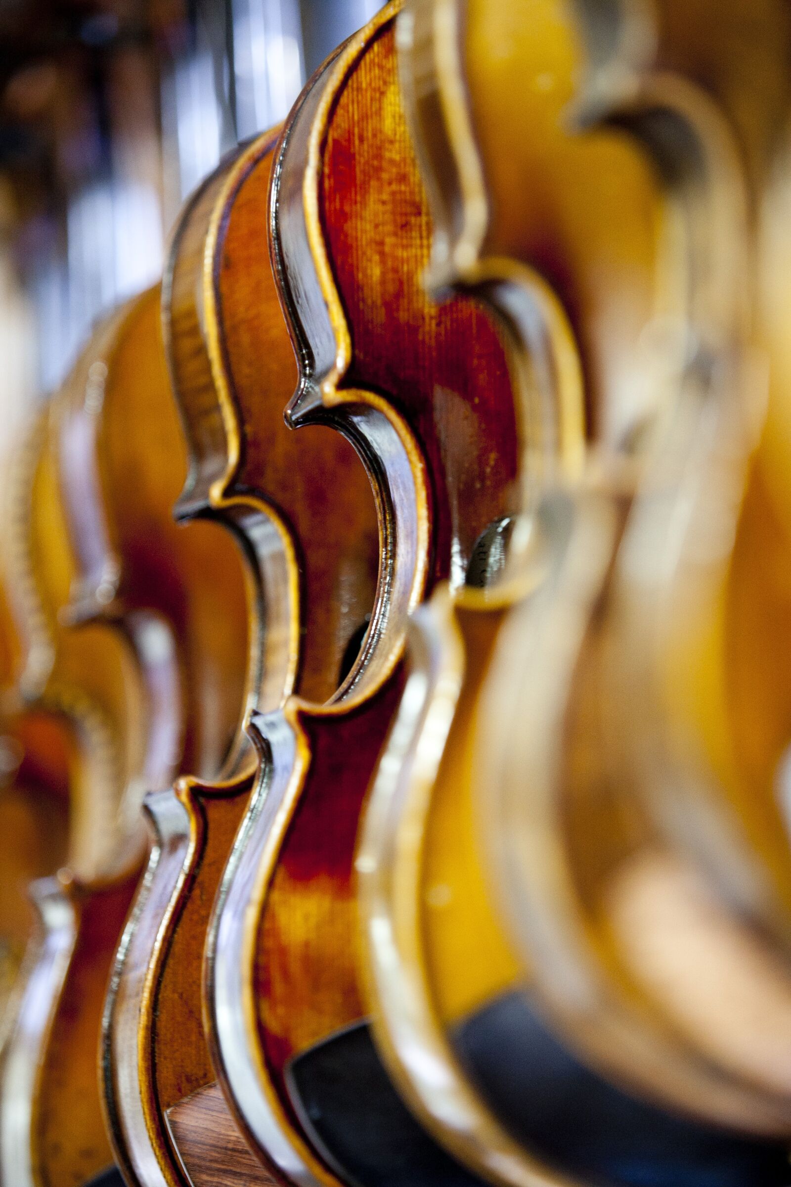 Canon EOS 5D sample photo. Violin, music, instrument photography