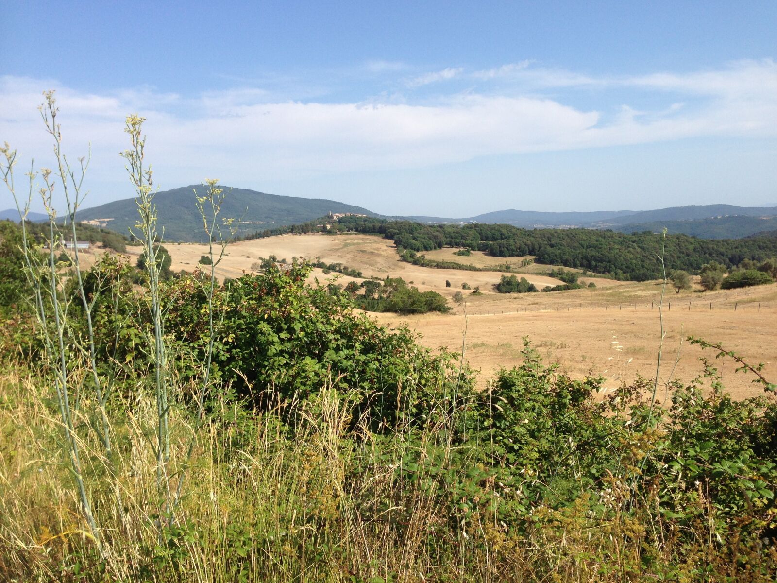 iPhone 5 back camera 4.12mm f/2.4 sample photo. Landscape, cultivated, agriculture photography