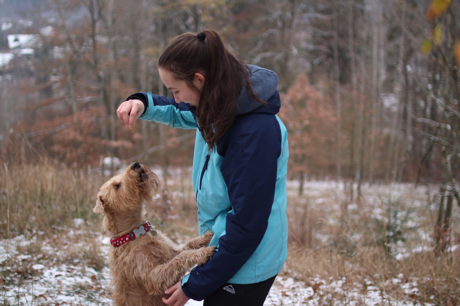 Canon EOS 650D (EOS Rebel T4i / EOS Kiss X6i) sample photo. Dog, winter, pet photography