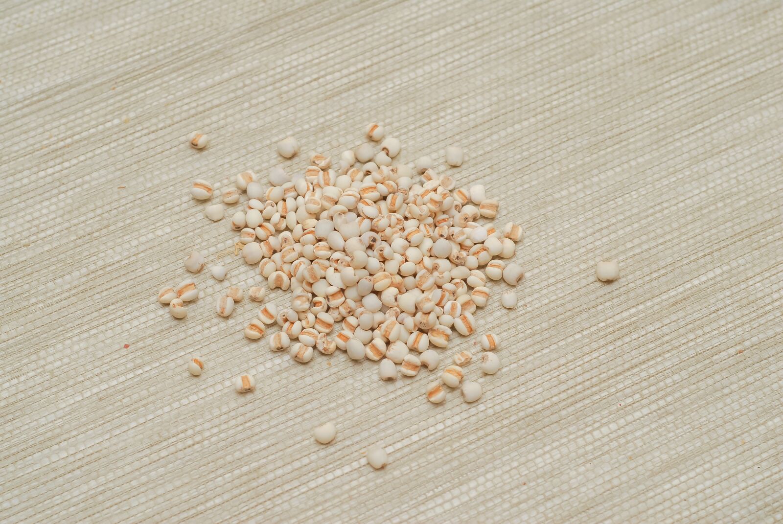 Nikon D200 sample photo. Herbs, tcm, medicine photography