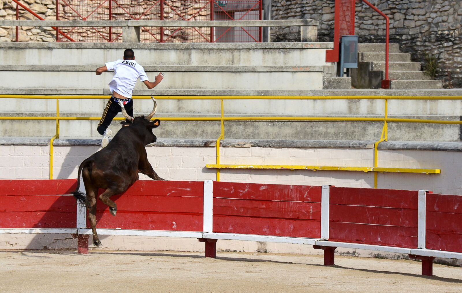 Nikon D7000 sample photo. Flight, camargaise race, bull photography