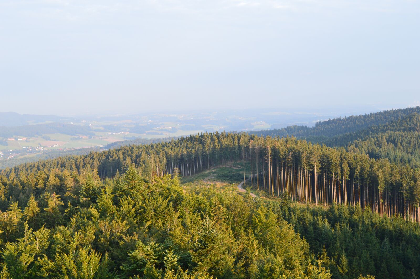 Nikon D3200 sample photo. Forest, landscape, nature photography