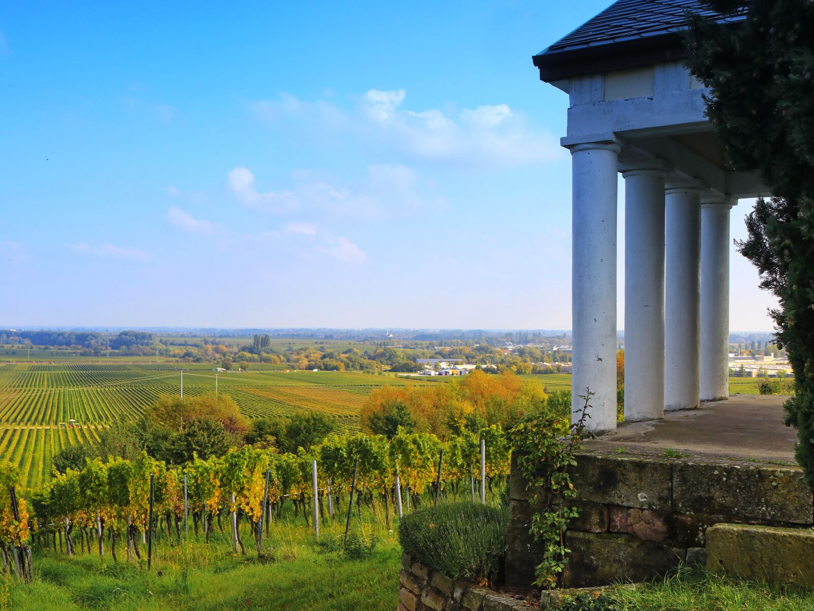 Canon EOS 80D sample photo. Vineyard, landscape, autumn photography
