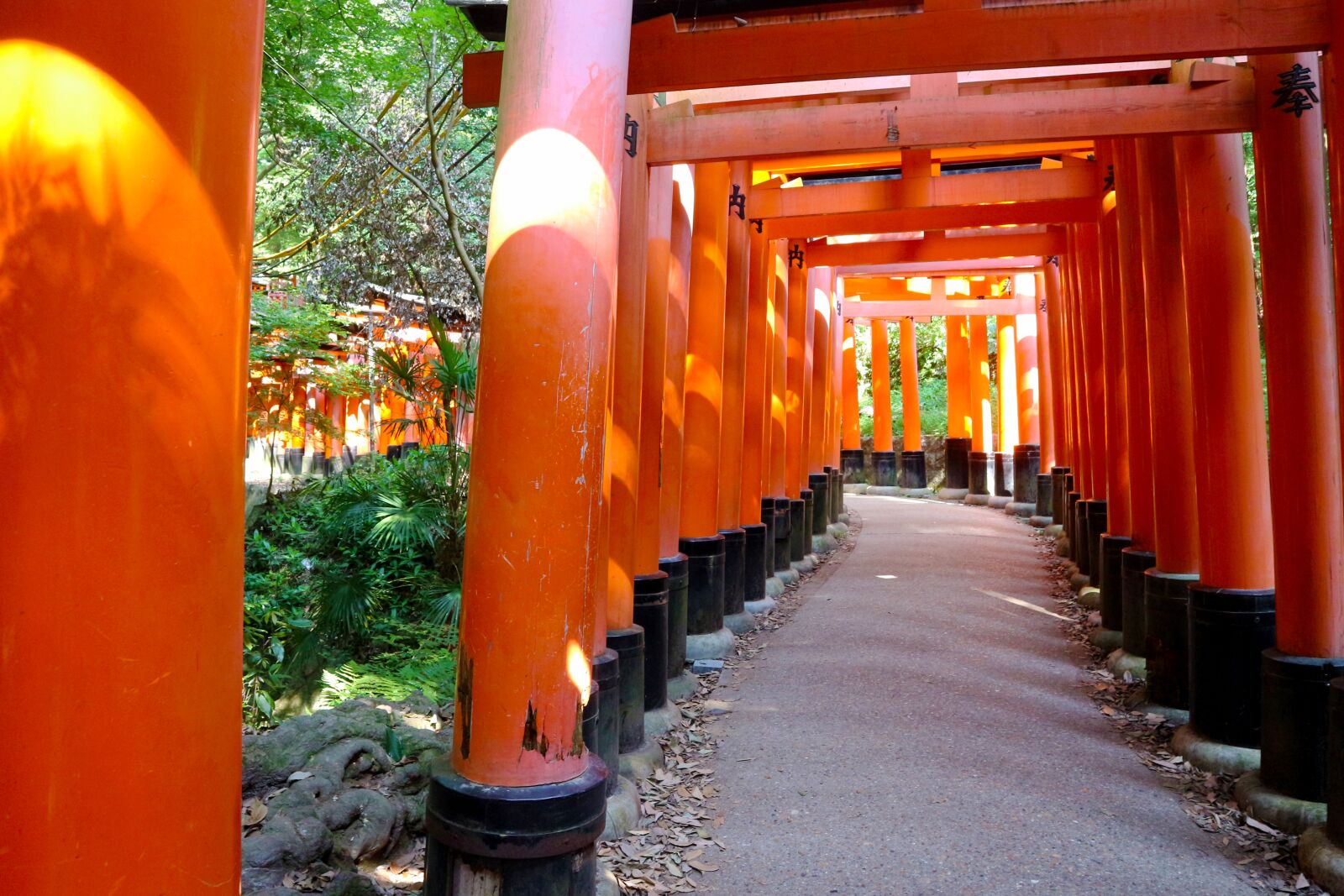 Canon EOS M10 sample photo. Japan, shrine, kyoto photography