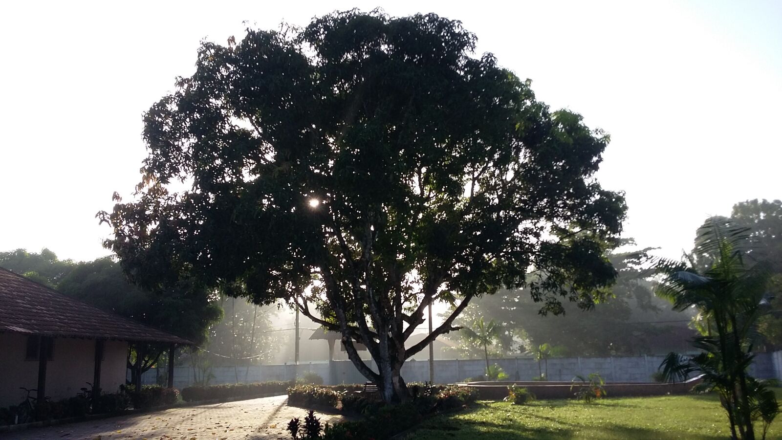 Samsung Galaxy Grand Prime sample photo. Nature, sunrise photography