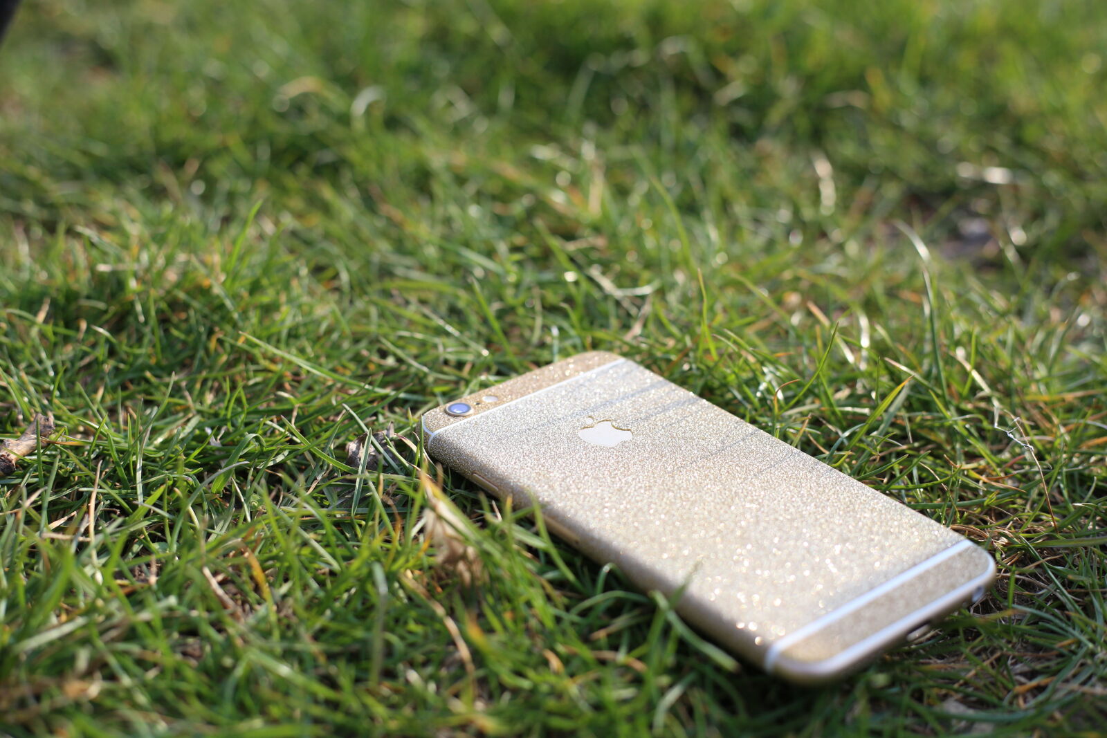 Canon EOS 6D + Canon EF 50mm F1.8 STM sample photo. Cell, phone, glisten, grass photography