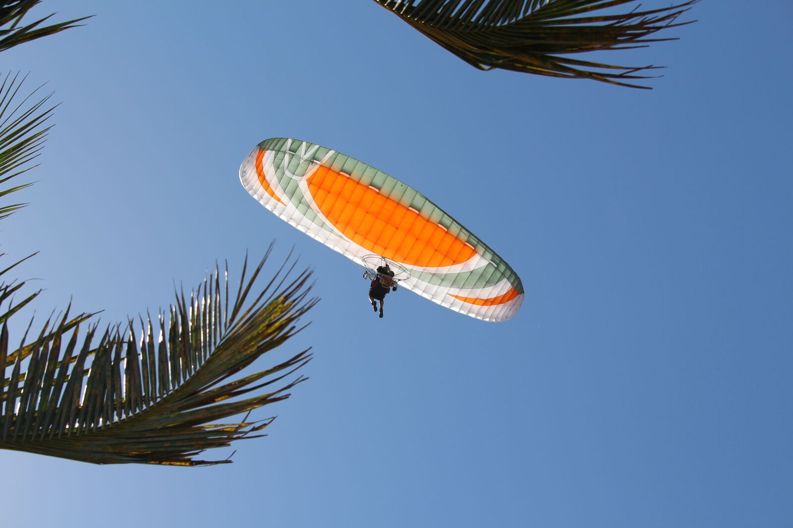 Canon EOS 700D (EOS Rebel T5i / EOS Kiss X7i) sample photo. Flight, fly, flying photography