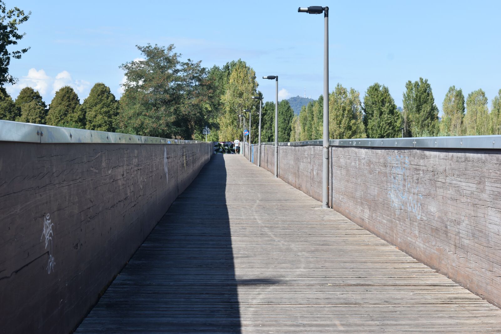 Nikon D5600 sample photo. Bridge, wood, trail photography