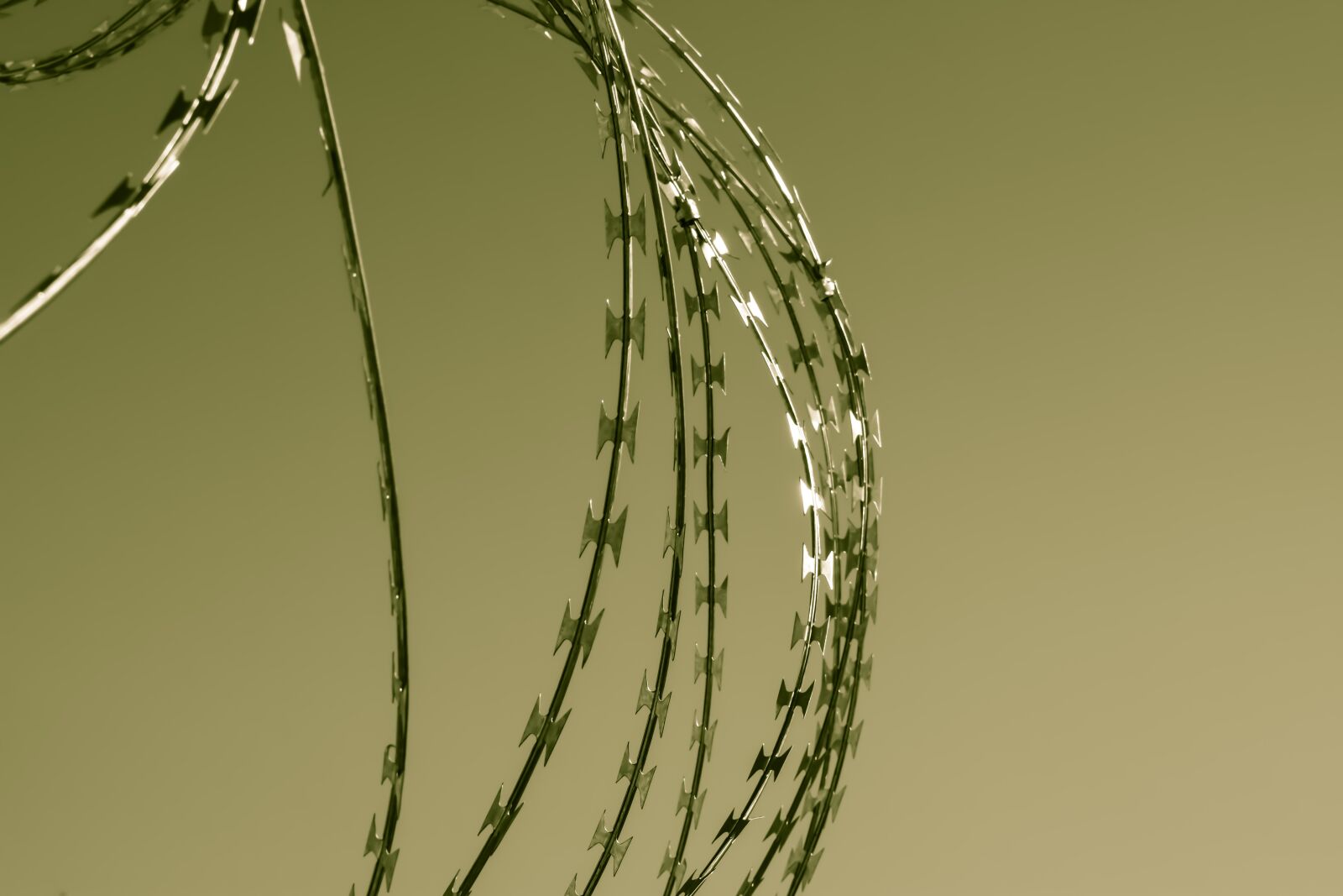 Nikon D3300 sample photo. Wire, fence, metal photography