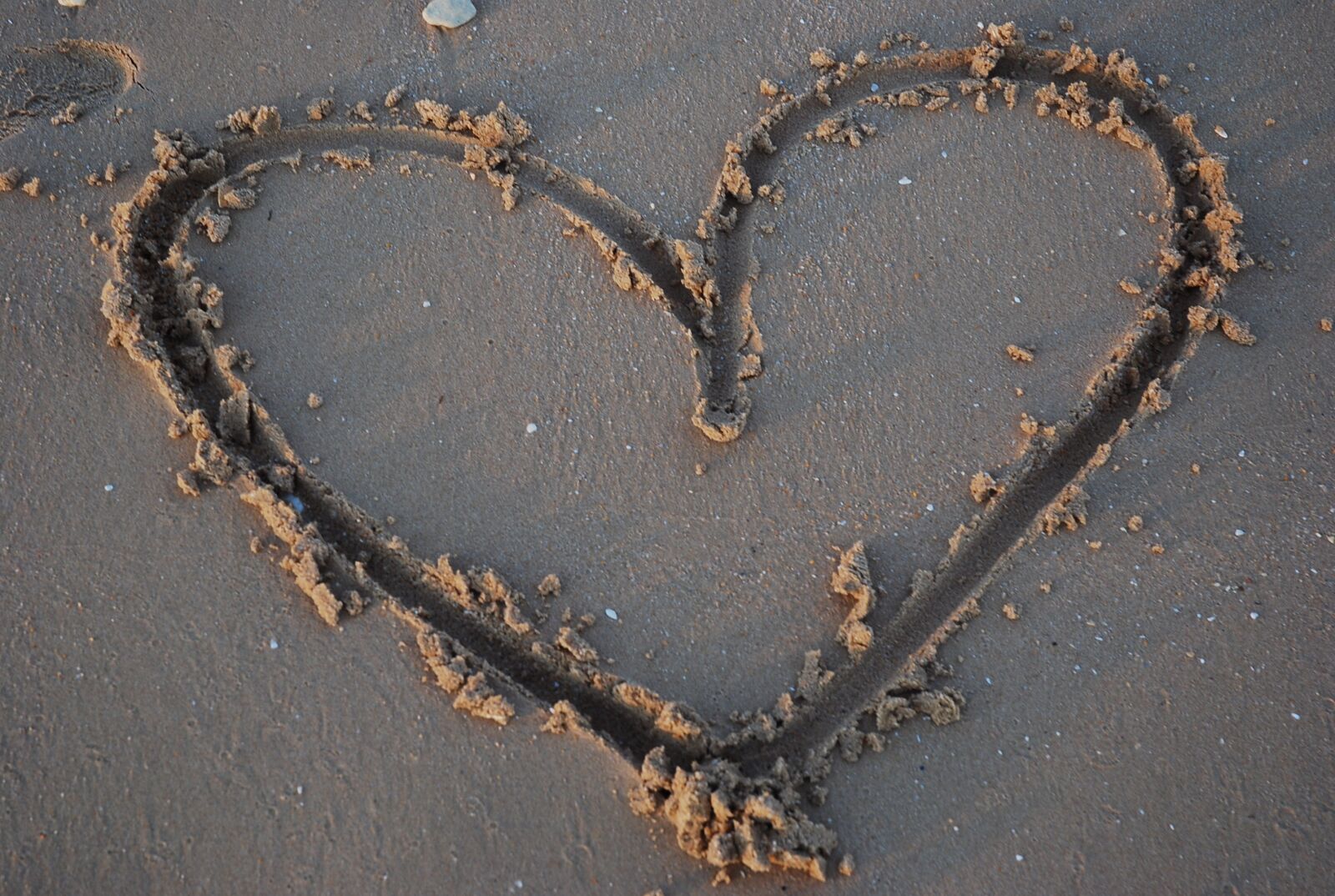 Nikon D80 sample photo. Heart, sand, shell photography