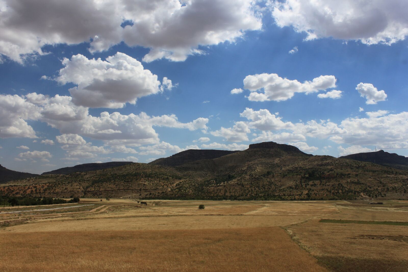 Canon EOS 500D (EOS Rebel T1i / EOS Kiss X3) sample photo. Nature, landscape, sky photography