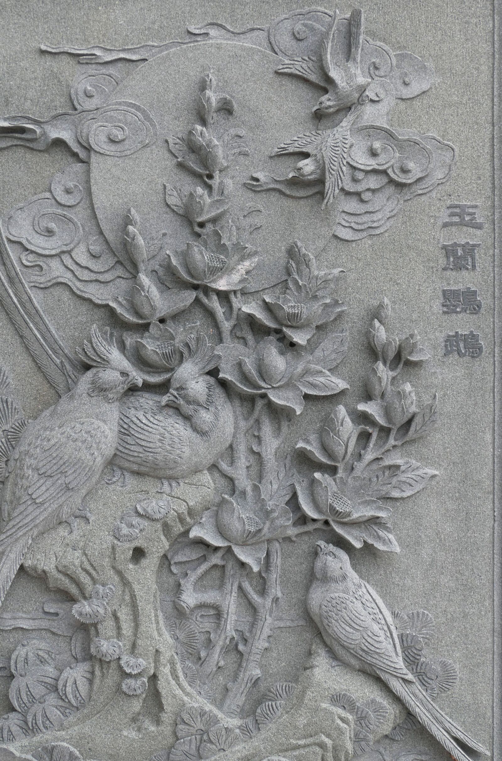 Panasonic Lumix DMC-FZ1000 sample photo. Taiwan, image, relief photography