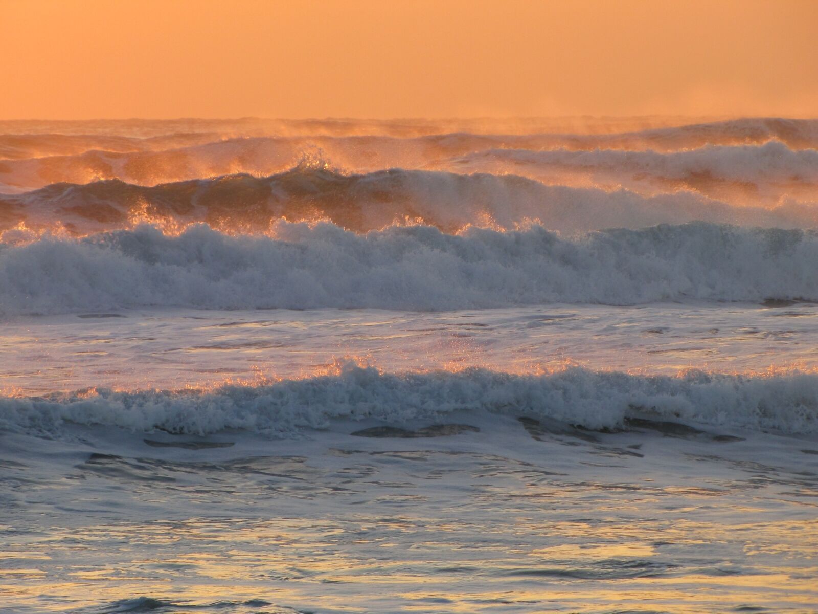 Canon PowerShot SX1 IS sample photo. The pacific ocean, wave photography