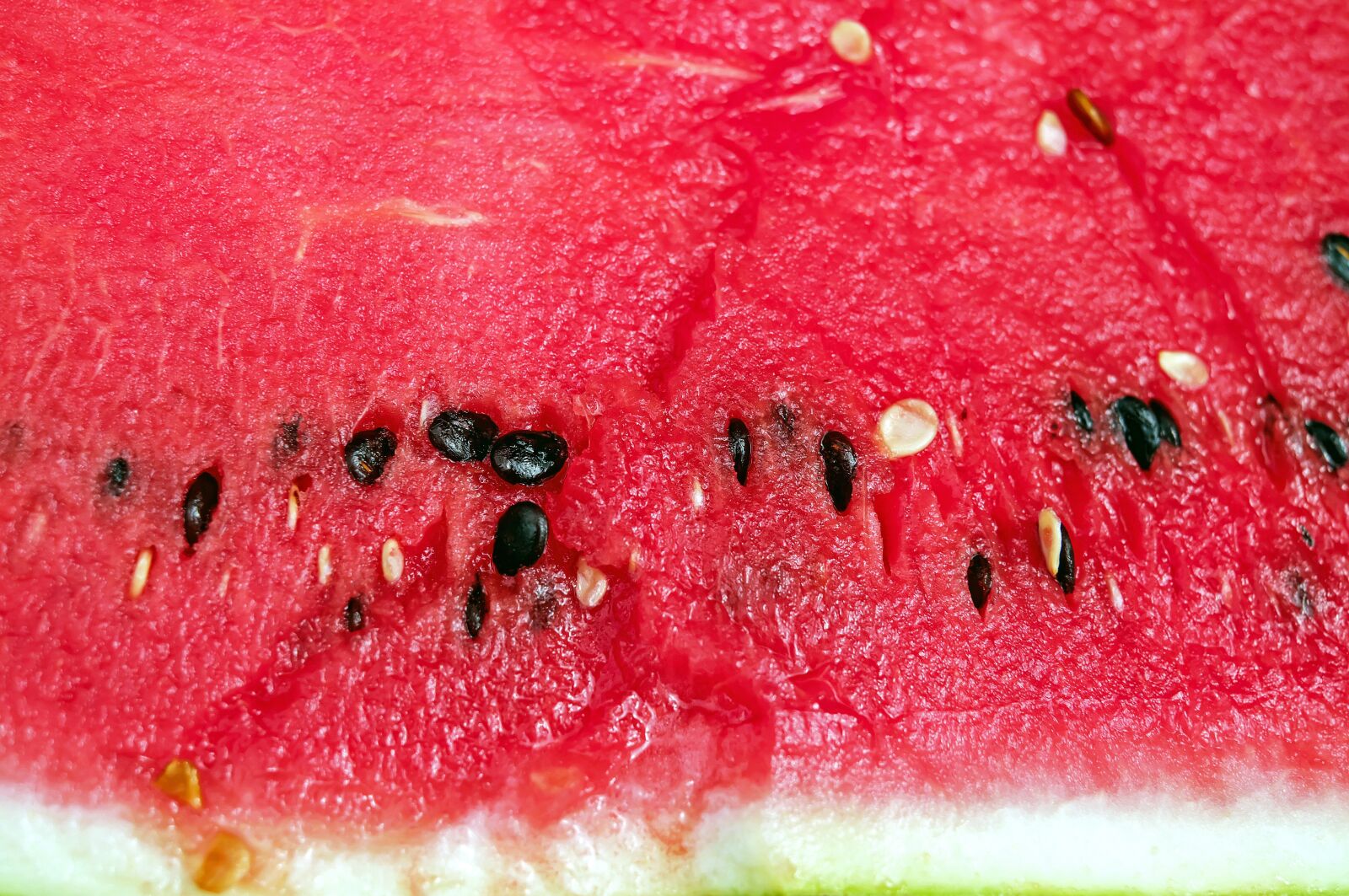 Fujifilm X-T10 + Fujifilm XF 35mm F1.4 R sample photo. Melon, watermelon, fruit photography