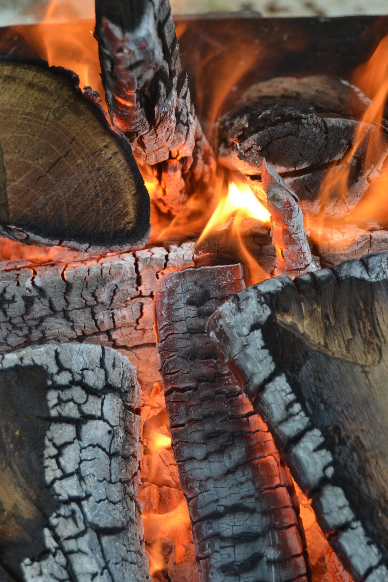 Nikon D3100 sample photo. Ali, wood, hot photography