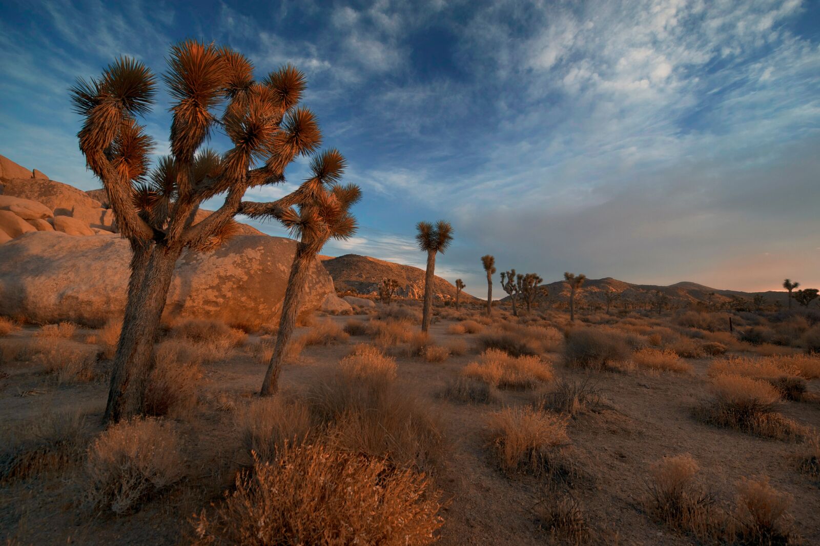 Nikon D3S sample photo. Arid, barren, boulders photography