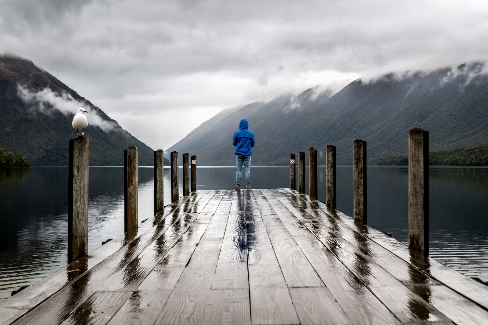 Nikon D610 sample photo. Water, weather, wood, mountain photography