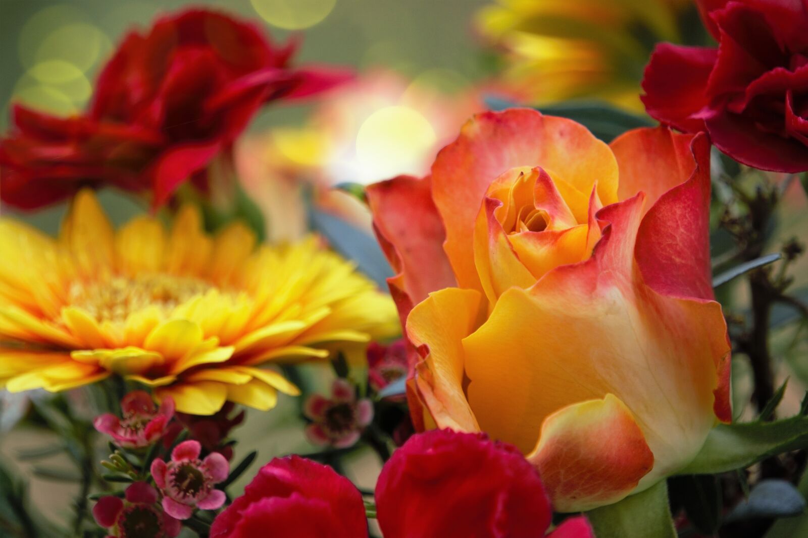 Sony a6000 sample photo. Rose, yellow, gerbera photography