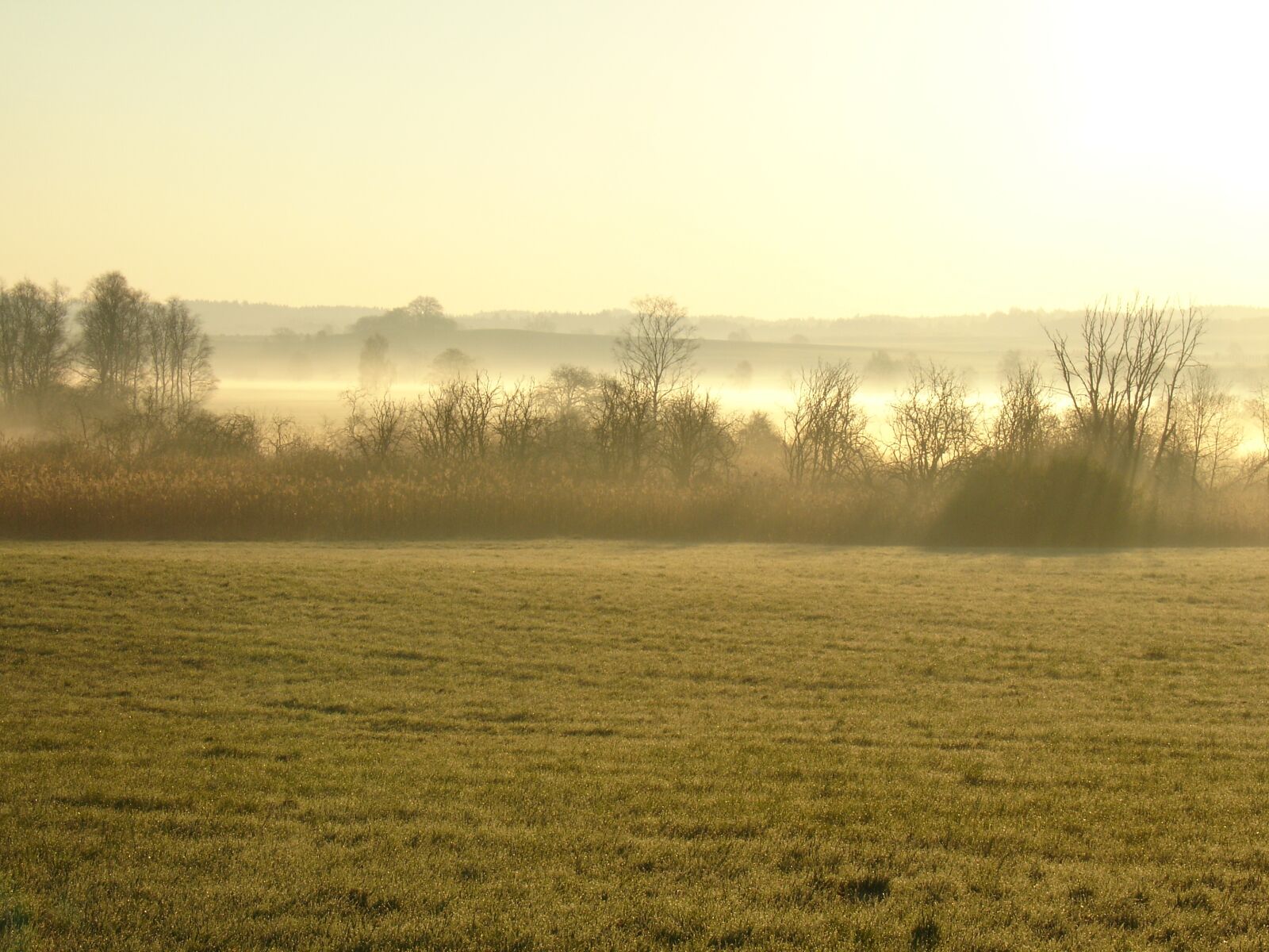 Sony DSC-V3 sample photo. Landscape, nature, fog photography